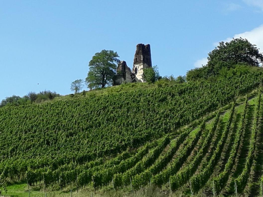 Ferienwohnung Gersch Traben-Trarbach Exteriér fotografie