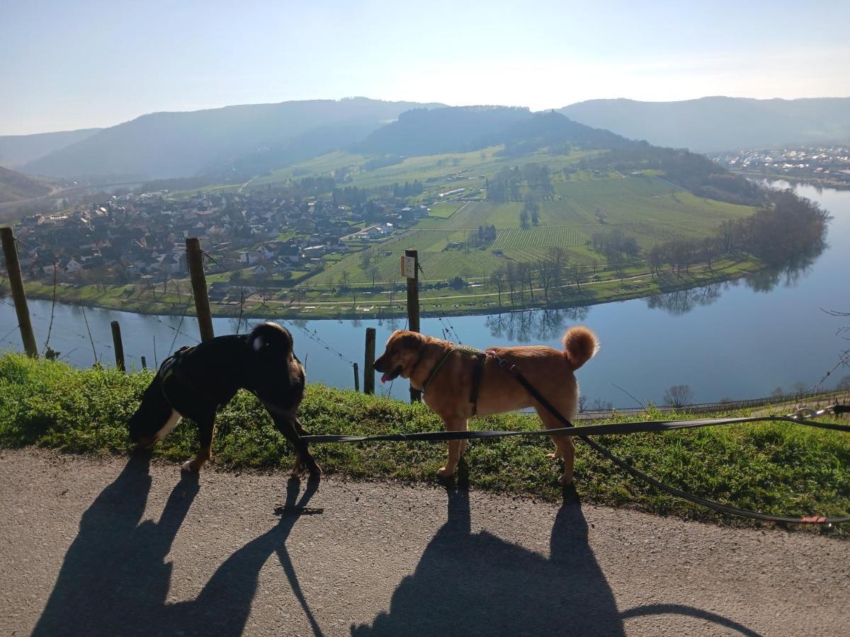 Ferienwohnung Gersch Traben-Trarbach Exteriér fotografie